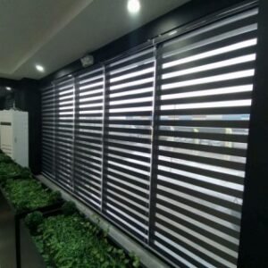 Zebra Blind, Korean Blind